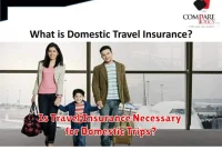 Is Travel Insurance Necessary for Domestic Trips?