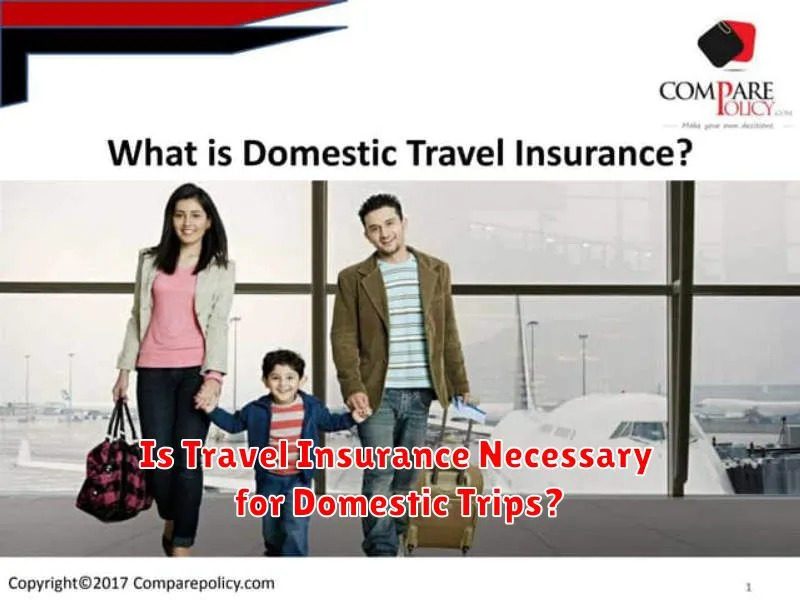 Is Travel Insurance Necessary for Domestic Trips?